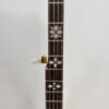 Fingerboard inlay and fifth string peg on the Frank Neat neck