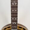 Fingerboard inlay and 