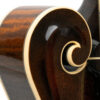 Gold Tone Grandmaster Elite F-Style Mandolin Burst 5