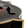 Gold Tone Grandmaster Elite F-Style Mandolin Burst 8
