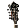 Gold Tone Grandmaster Elite F-Style Mandolin Burst 9