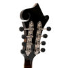Gold Tone Grandmaster Elite F-Style Mandolin Burst 11