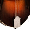 Gold Tone Grandmaster Elite F-Style Mandolin Burst 17