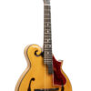 Gold Tone Grandmaster Elite F-Style Mandolin Honey Amber 1