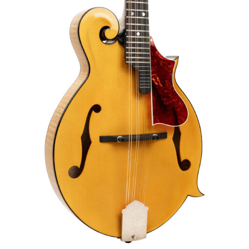 Gold Tone Grandmaster Elite F-Style Mandolin Honey Amber 2