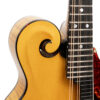 Gold Tone Grandmaster Elite F-Style Mandolin Honey Amber 4