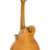 Gold Tone Grandmaster Elite F-Style Mandolin Honey Amber 13