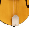Gold Tone Grandmaster Elite F-Style Mandolin Honey Amber 17
