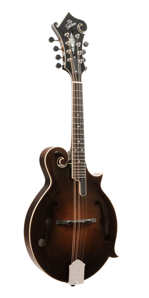 Gold Tone Grandmaster Elite F-Style Mandolin Vintage Leather 1