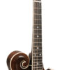 Gold Tone Grandmaster Elite F-Style Mandolin Vintage Leather 3