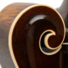 Gold Tone Grandmaster Elite F-Style Mandolin Vintage Leather 5