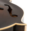 Gold Tone Grandmaster Elite F-Style Mandolin Vintage Leather 8