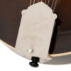 Gold Tone Grandmaster Elite F-Style Mandolin Vintage Leather 18