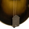 Gold Tone Grandmaster Super Cremona F-Style Mandolin 17