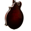 Gold Tone Grandmaster Victorian F-Style Mandolin Black 15
