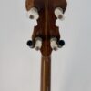 Back of the walnut peghead with pearloid tuner buttons