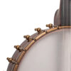 OME Jubilee Openback Banjo