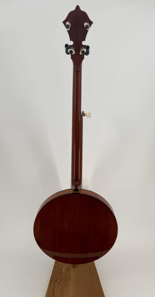 2021 Stelling Afton Star, full back view of the mahogany neck and resonator