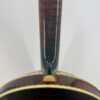 2009 Stelling Golden Cross banjo with a back view of the neck heel meeting the curly maple resonator, at Banjo Warehouse in Yellow Springs, Ohio.