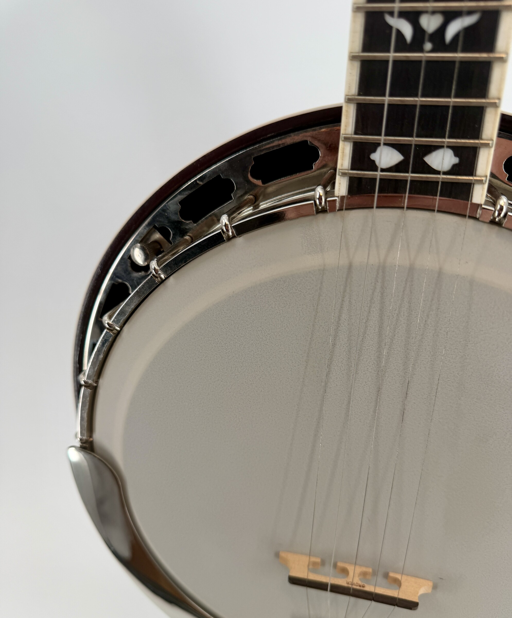 2010 Flint Hill FHB-280A banjo with a close view of the flange, armrest, head and bridge, at Banjo Warehouse in Yellow Springs, Ohio.