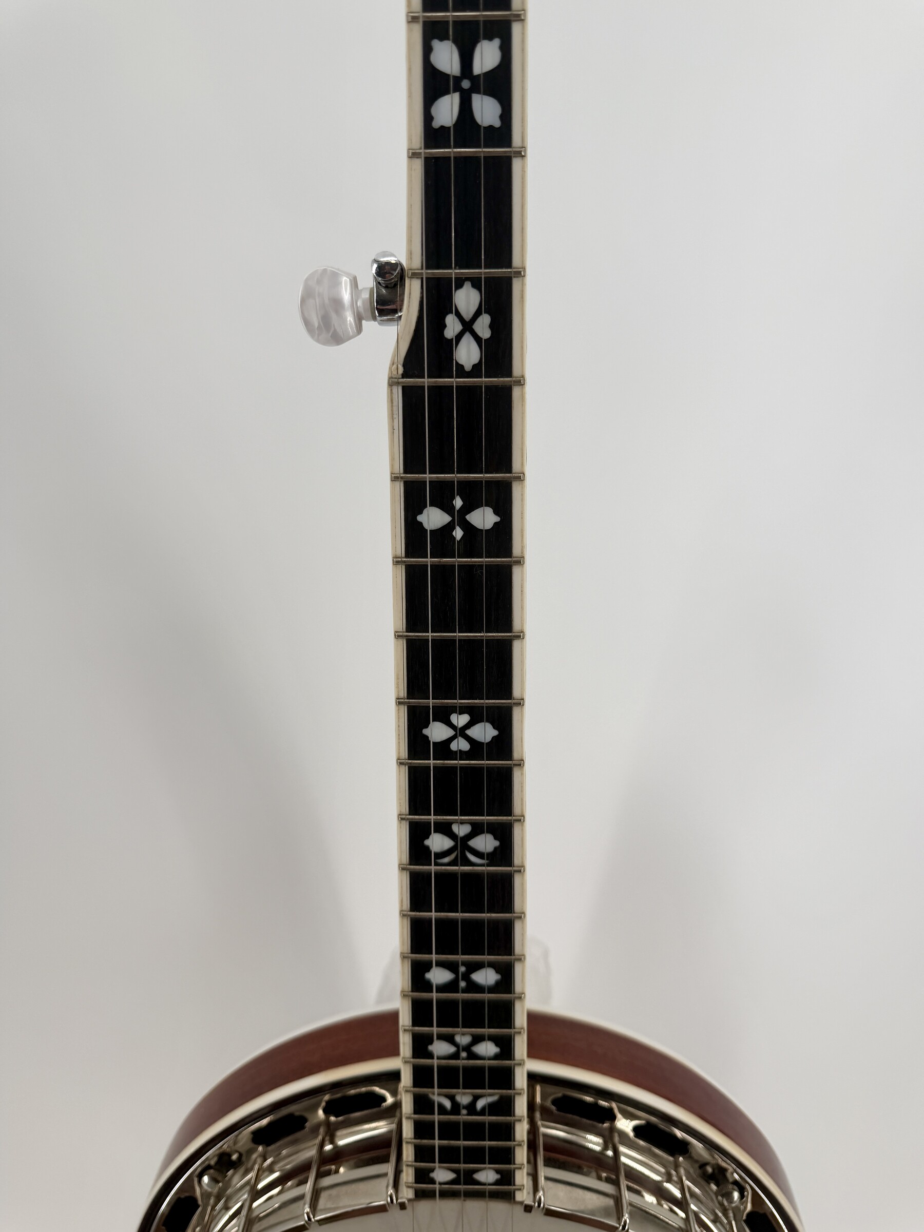 2010 Flint Hill FHB-280A banjo with the bound fingerboard, its inlays and the fifth-string peg, at Banjo Warehouse in Yellow Springs, Ohio.