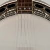 Upper frets and flange of a Clancy Mullins banjo