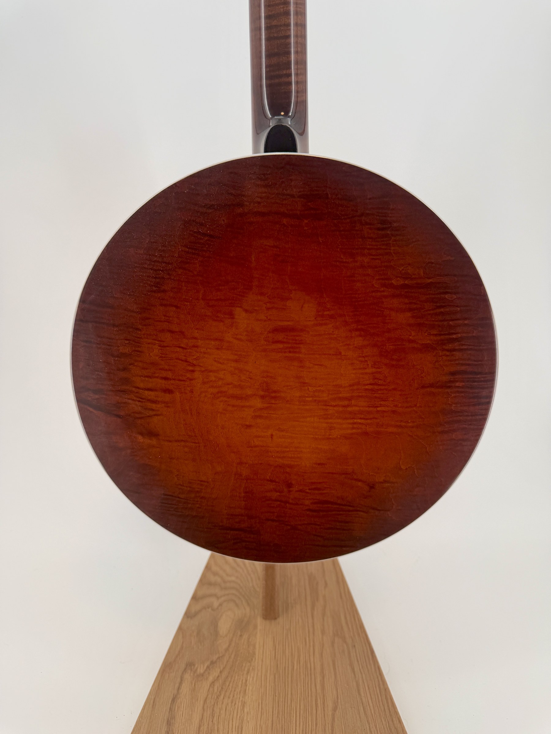 Curly maple resonator back of a 2015 Davis Concord Prototype
