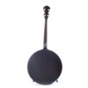Deering Artisan Goodtime Two 17-Fret Tenor Banjo