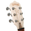 Deering Goodtime Six-R 6-String Resonator Banjo