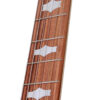 Deering Goodtime Six-R 6-String Resonator Banjo
