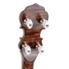 Gold Tone BG-150F 2026 Bluegrass Banjo with Presto Tailpiece, Maple Resonator and Bag