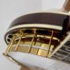 Gold plated one piece flange, hooks and tension hoop