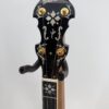 Double-cut peghead with Gold Tone logo and gold plated tuners